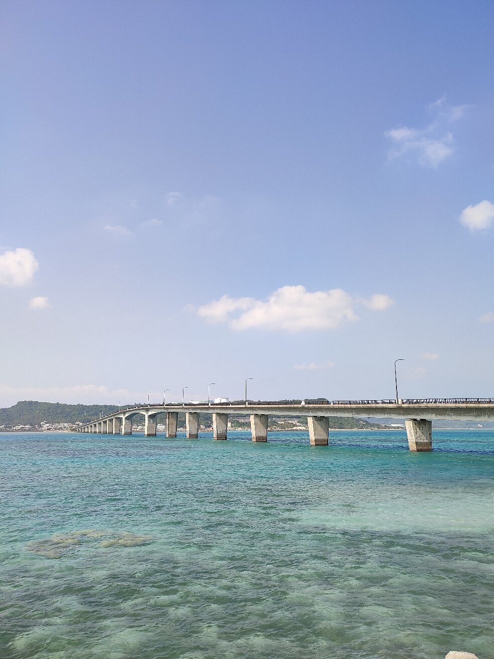 🏞️ 하마 어항 녹지 공원 (하마교코 료쿠치 코엔) 이미지 3